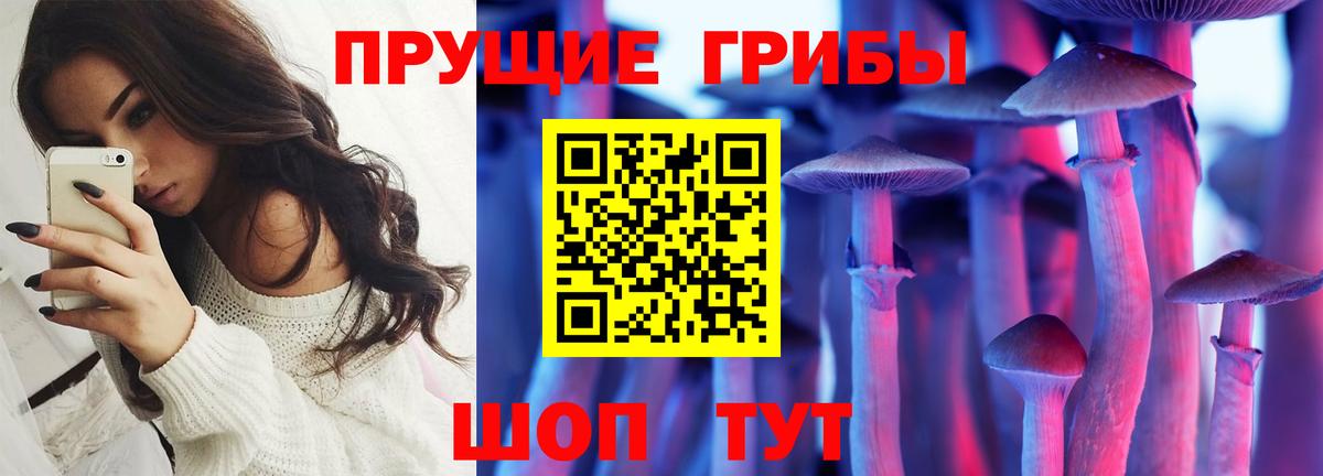 Псилоцибиновые грибы GOLDEN TEACHER  Вход с VPN  Зима  Галлюциногенные грибы Psilocybe 